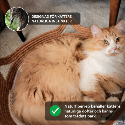 Sculpta Instinkts korg