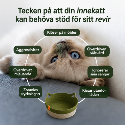 Sculpta Instinkts korg