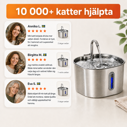 Kattfontänen som får katten att dricka mer